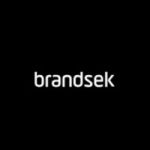 BRANDSEK IT SOLUTIONS PRIVATE LIMITED